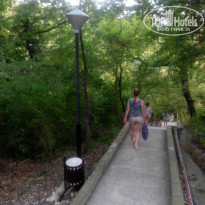 фото из отзыва ID 1286485