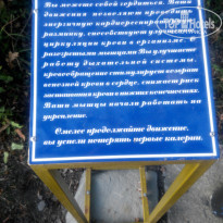 фото из отзыва ID 1286485