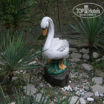 фото из отзыва ID 1286485