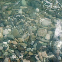 фото из отзыва ID 1287113