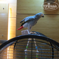 фото из отзыва ID 1287123