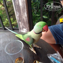 фото из отзыва ID 1287253