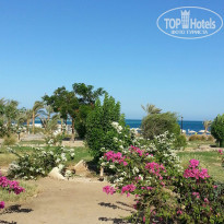 фото из отзыва ID 1287336