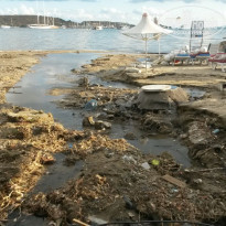 фото из отзыва ID 1287636