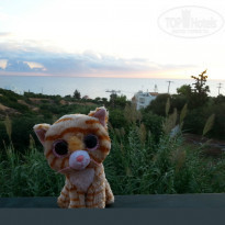 фото из отзыва ID 1287715