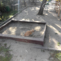 фото из отзыва ID 1286485