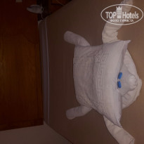 фото из отзыва ID 1287860