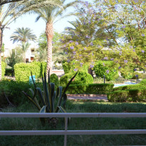 фото из отзыва ID 1287937