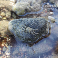 фото из отзыва ID 1288077