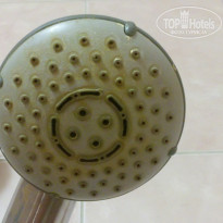 фото из отзыва ID 1288082