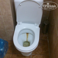 фото из отзыва ID 1288082