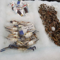 фото из отзыва ID 1287676