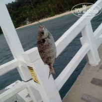 фото из отзыва ID 1288206