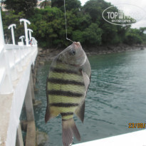 фото из отзыва ID 1288206