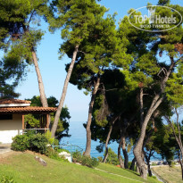 фото из отзыва ID 1288270