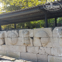 фото из отзыва ID 1288270