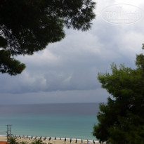 фото из отзыва ID 1288270