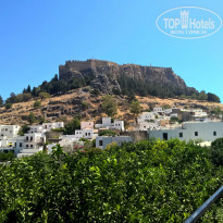 фото из отзыва ID 1288592