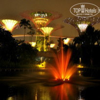 фото из отзыва ID 1288656