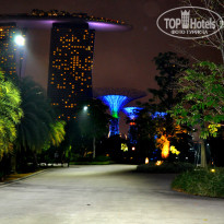 фото из отзыва ID 1288656