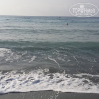 фото из отзыва ID 1288657