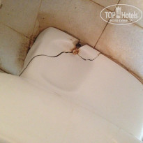 фото из отзыва ID 1289059