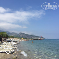 фото из отзыва ID 1289118