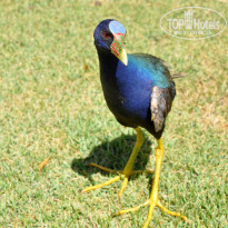 фото из отзыва ID 1289195