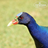 фото из отзыва ID 1289195