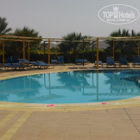 фото из отзыва ID 1289386