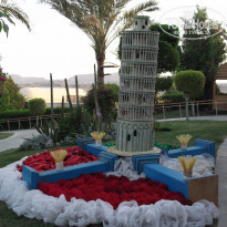 фото из отзыва ID 1289386