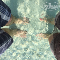 фото из отзыва ID 1289498