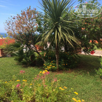 фото из отзыва ID 1289604