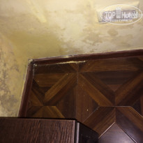 фото из отзыва ID 1289787