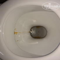 фото из отзыва ID 1289787