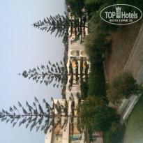 фото из отзыва ID 1289810