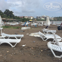 фото из отзыва ID 1289843