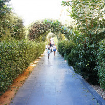 фото из отзыва ID 1289876