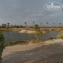 фото из отзыва ID 1289964