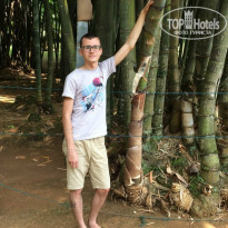 фото из отзыва ID 1287939