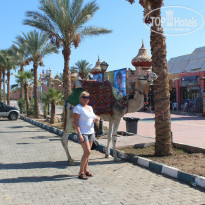 фото из отзыва ID 1286538