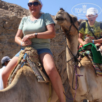 фото из отзыва ID 1286538