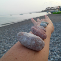 фото из отзыва ID 1284149