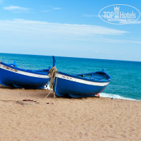 фото из отзыва ID 1285570