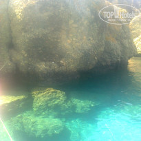 фото из отзыва ID 1284814