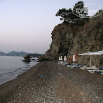 фото из отзыва ID 1285370