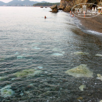 фото из отзыва ID 1285370