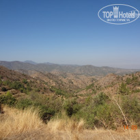 фото из отзыва ID 1290114