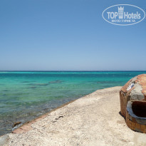 фото из отзыва ID 1290312