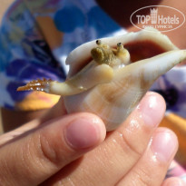 фото из отзыва ID 1290312